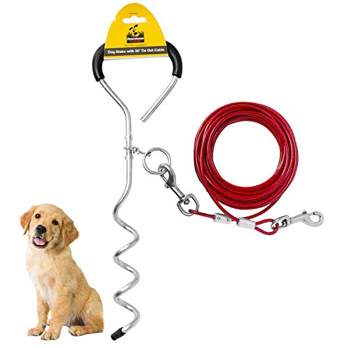 Downtown Pet Supply - Dog Tie Out Stake - Premium Dog Stake for Yard - Dog Runner with Steel Corkscrew Stake and Tie Out Cable for Dogs - for Dogs up to 70 lbs - 30 ft
