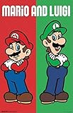 Pyramid America Laminated Mario & Luigi Mario Brothers Video Game Gaming Poster Dry Erase Sign 24x36