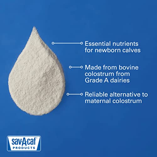 Image of Milk Products 633176 Sav-a-CAF Colostrum Replacer 100, 350G