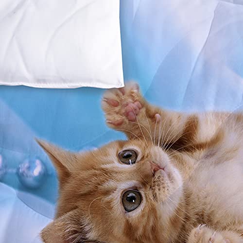 Yasida Cat Comforter Set Twin Size For Kids Blue Cat 3Pcs Bedding Set For Boys And Girls (1Comforter+ 2 Pillowcases) Lovely Animal Pets Duvet Set #TOP5