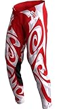 mx gp tv 2019  Troy Lee Designs GP Pro Hazy Friday Mens MX Offroad Pants Red/White 30 USA