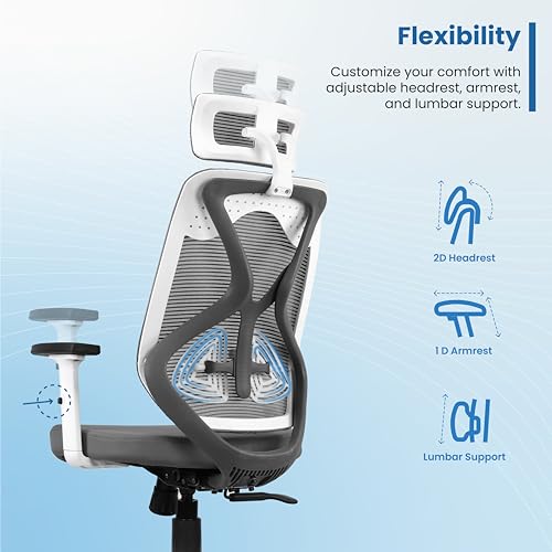 Vergo Transform Classic Ergonomic High Back Mesh Office Chair | Adjustable Lumbar, Headrest, 1D Armrests, Single Tilt Lock Recline Mechanism, Metal... - Image 5