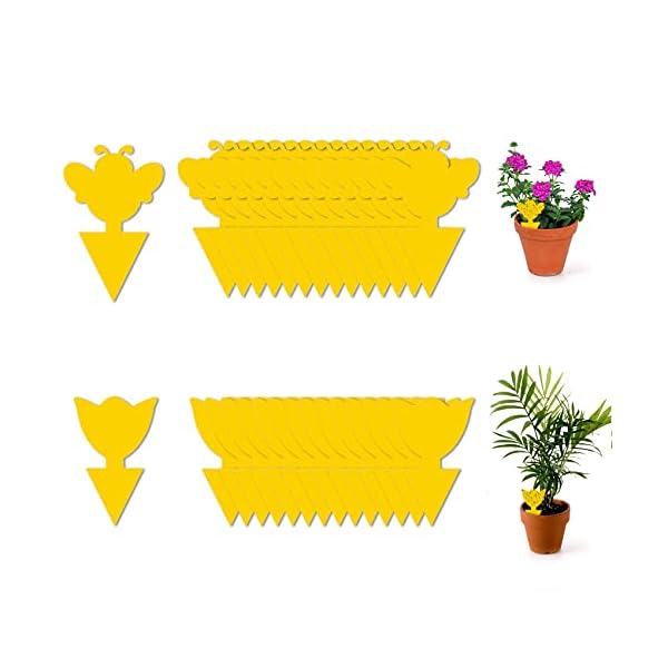 JeoPoom Sticker Fliegenfänger[50 Stück], Gelbtafeln, Fruchtfliegenfalle, Fliegenfänger, Topfpflanze Gegen Trauermücken Blattläuse, Minierfliegen, Garten, Innenraum, Balkon(Gelb)