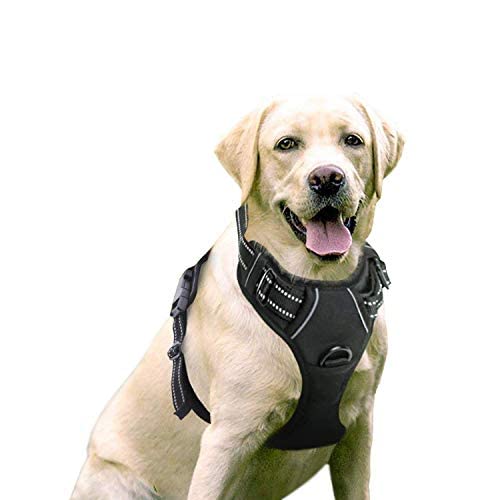 Pets Empire Dog Cat Harness No-Pull Pet Harness Adjustable Outdoor Pet Vest Reflective Oxford Material Vest for Dogs Easy Control (Color May Vaey) (X-Large) (B09H49Z6XQ) Amazon Price History, Amazon Price Tracker
