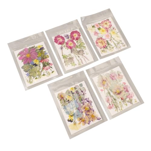 Flores prensadas secas para resina 100 piezas variedad miniatura 7