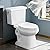 ABath 17" ADA Height Toilet Elongated with Soft Close Seat & 360° TSUNAMI Flush 1.28 GPF, WaterSense/1000g Map Certified, NANO CLEAN Ceramic, Two Piece Modern Toilets for Small Bathrooms, 12" Rough in