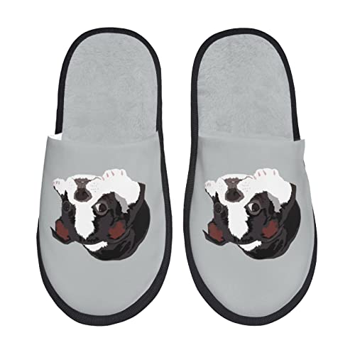 [ZOOKISS] {XgeA  (1) Xbp  Y  fB[X ~ 킢 qp 􂦂 gC p E Xbpjp LN^[ ObY lC Aj v[g M