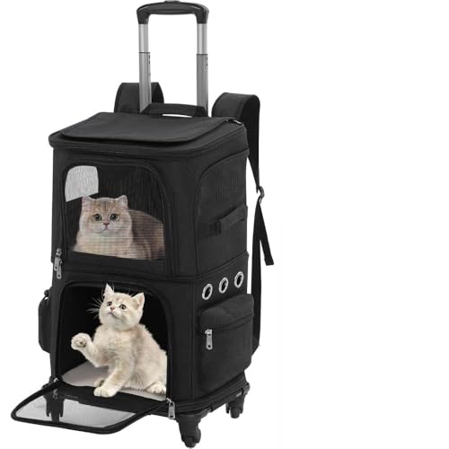 L 2 C L[ bN LX^[t ^  L[ J[g 2i ybg lR  g[obO e ʋC s/ʉ@/ʋ@/ЊQp O (ubN, Os^Cv)