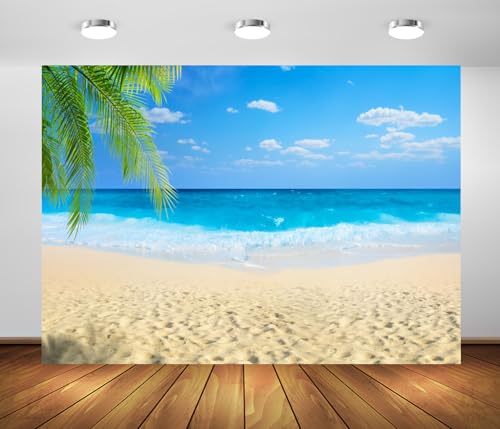 Arrière-plan photo plage pour studio évitant les reflets lors des portraits