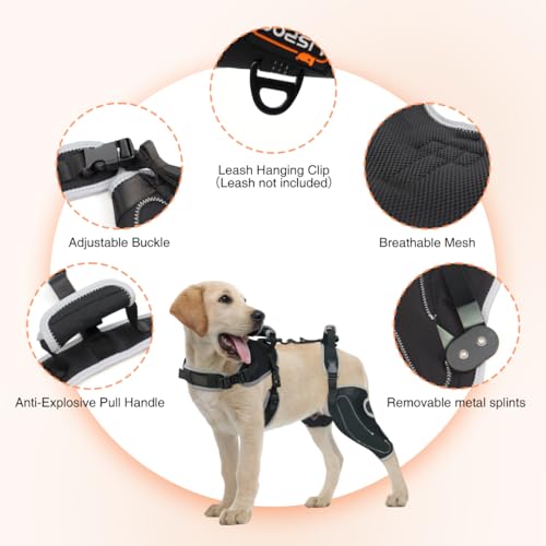 Image of Adjustable Support Dog ACL Brace Hind Leg-Left Leg-Upgraded-XL Size