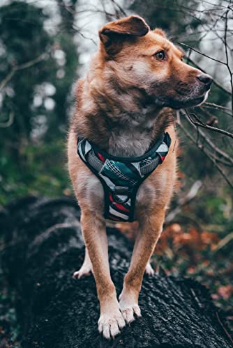 Embark Urban Dog Harness – Want To Stop Your Dog Pulling? Try Our No Pull Dog Harnesses For Xl Dogs, Large, Medium, Small Dogs Or Puppy. Soft, Comfortable, Size Adjustable Dog Vest Harness With Handle #TOP4