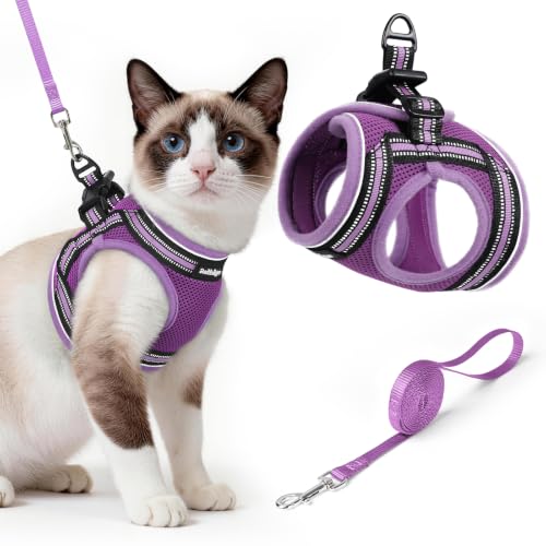 Image of rabbitgoo Cat Harness and Leash Set, Step-in Soft Vest, Purple-Light Purple