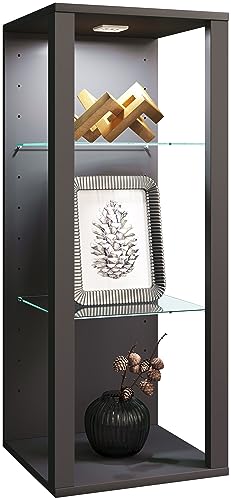 VCM Glasvitrine hängend | Vitrine Glas mit ESG-Sicherheitsglas | Maße ca....