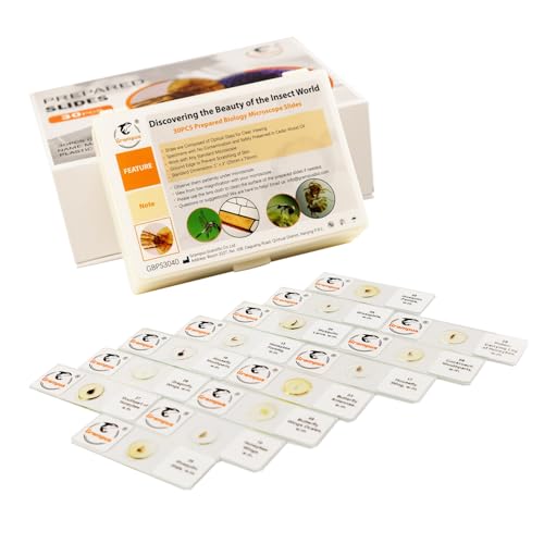 30 Prepared Microscope Slides with Specimens for Kids Students - Insects, for Biological Science Lab, Children