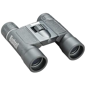 Bushnell 132516 Powerview 10×25 Compact Folding Roof Prism Binocular (Black)