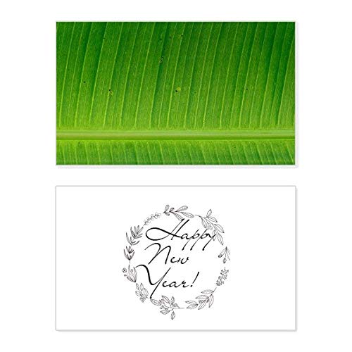 Fotografía de hoja de plátano que inspira calma y diseño minimalista en casa