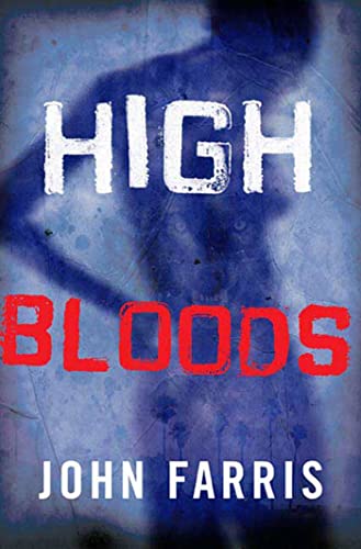 High Bloods view 2