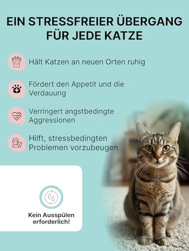 Matatabi Pulver für Katzen | | Natürliches Anti-Stress Katzen Pulver für Reisen & Umgebungswechsel | Appetitanregend & Immunsystem stärkend | Alternative zu Katzenminze | 100% Reines Silvervine