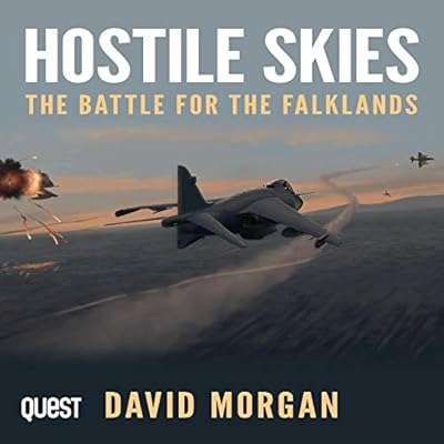 Hostile Skies
