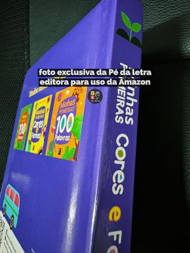 Colecao 100 - Minhas Primeiras 100 Cores e Formas