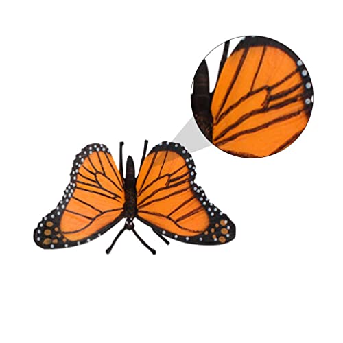zalati Butterfly Growth Cycle Biologisches Modell Figur Spielzeug für Kinder Lernspielzeug Lehrmittel