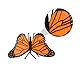 zalati Butterfly Growth Cycle Biologisches Modell Figur Spielzeug für Kinder Lernspielzeug Lehrmittel