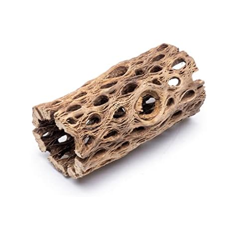 SubstrateSource Natural Cholla Large Wood Logs - Driftwood for Aquariums, Hermit Crab Climbing Decorations Fish Tanks- 4 and 6 Inch Pieces (1 Piece, 4 Inch) Cover
