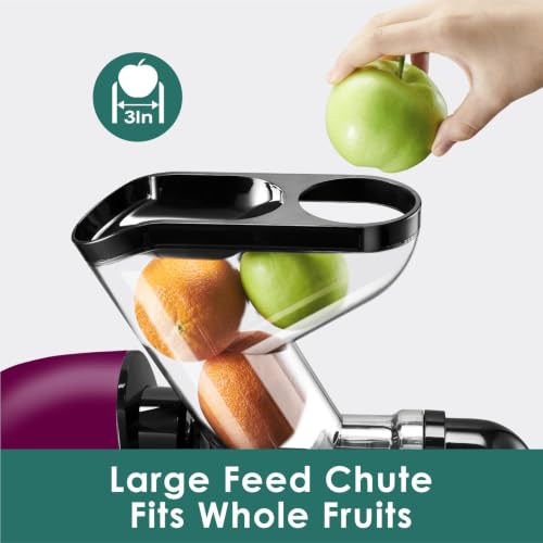 Image of Fretta Juicer Machines, Cold Press Juicer, BPA Free Masticating Juicer Machines Vegetable and Fruit, 3-Inch Wide Feeding Chute, Easy to Clean,Quiet and Strong DC Power, 200W (Onion Purple)