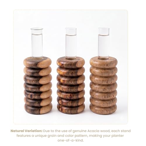 Image of Pilwal's Handcrafted Wooden Flower Vase & Test Tube Planter - Unique Minimalist Wooden Planter for Home 25mm Glass Tube Vase for Plants, Cuttings - Office Desk & Living Room Decor (7 Steps Design)