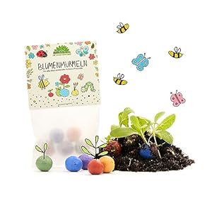 Die Stadtgärtner Blumenmurmeln 10er Set 1000