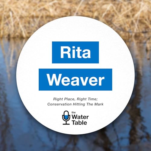 #139 | Right Place, Right Time; Conservation Hitting The Mark