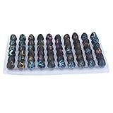 JOUET ÉDUCATIF: Les œufs de dinosaures à éclore peuvent aider les enfants à en savoir plus sur les dinosaures ou la nature et encourager la recherche scientifique, le