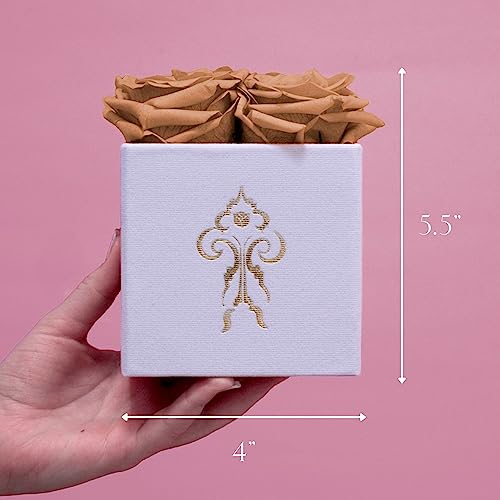 Premium Roses | Model Jolie White Box Champagne Roses | Real Roses That Last 365 Days | Preserved Roses, Handmade, Perfect for Valentine\'s Day, Christmas, Weddings, Bridal Showers or Any Occasion - Thumbnail 5