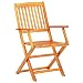 vidaXL Madera Maciza Conjunto Muebles Jardín Acacia 5 Piezas Comedor Exterior
