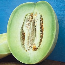 Semillas de melón Honey Dew Earli-Dew 100 unidades miniatura 1