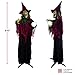 Holidayana Halloween Animatronic Fortune-Telling Witch - 5ft 5in Tall Animated Fortune Telling Witch Crystal Ball Prop Halloween Decoration, Sound and Touch Activated with Sounds, Lights and Movement