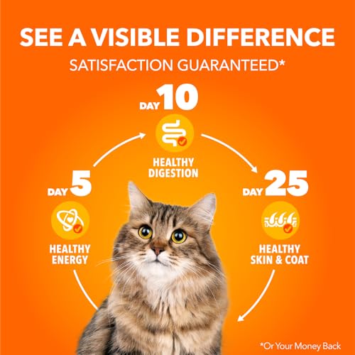 IAMS Proactive Health Indoor Weight & Hairball Care Adult Dry Cat Food – Chicken & Turkey - 1.59KG (3.5LB) Bag image 6