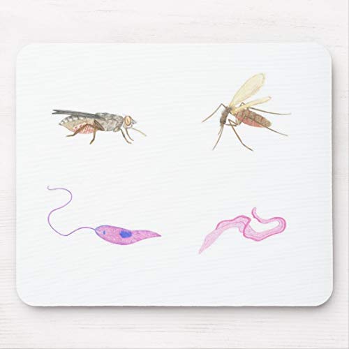 Preisvergleich Produktbild JAMILA Fußmatte Parasitologie / Parasitology mat Fußmatte Parasitologie / Parasitology Mat Mousepad