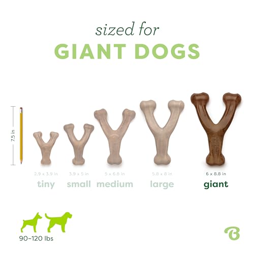 image for Benebone Wishbone Durable Dog Chew Toy for Aggressive Chewers, Made in