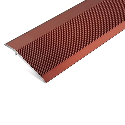 Banda de transición para umbrales en pasillos y accesos a salones modernos 2