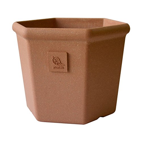 �������� �A�[�u�� �G�R�|�b�g�Z�p�^ �f�Ă���UG 280 213659