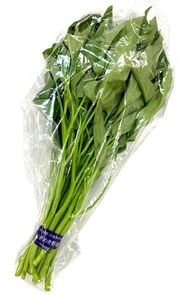 Amazon.co.jp: 【朝市場直行】茨城県ほか エンサイ 空心菜 空芯菜（袋