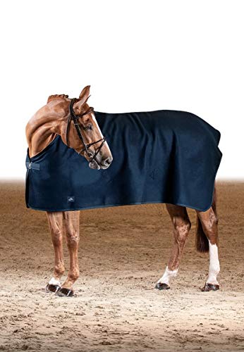 Couverture d'extérieur pour cheval en laine thermorégulatrice et respirante Equiline
