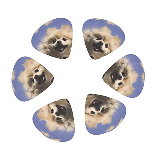 Ensemble de 12 médiators de guitare de Poméranie mignons pour guitare acoustique, guitare électrique, contrebasse… - Les Beatles, Paul McCartney, John Lennon, RIngo Starr, George Harrison Ensemble de 12 médiators de guitare de Poméranie mignons pour guitare acoustique, guitare électrique, contrebasse… – Image 3