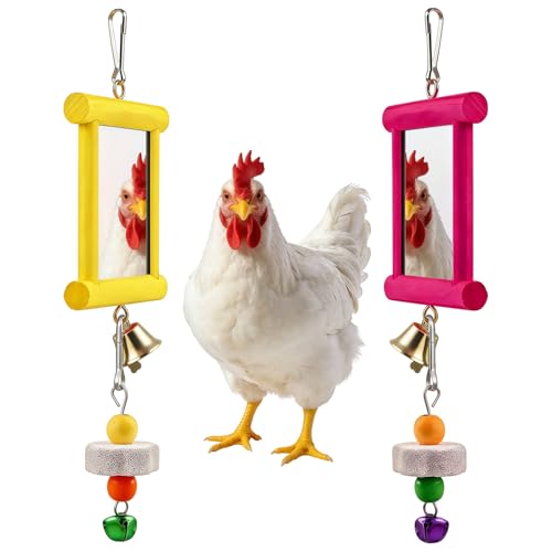 NAUZE 2Pieces Hanging Bell Chicken Swing Mirror Wooden Pecking Toy and Beak Grinding Molar Stones Colored Toy Entertainment Accessories for Coop Birds Parrots Hens