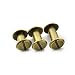 60 Sets 5mm Bronze Chicago Screws Assorted Kit Screw Posts Metal Accessories Nail Rivet Chicago Button For DIY Leather Decoration Bookbinding Slotted Flat Head Stud Screw ( 1/4" + 3/8" + 1/2" )