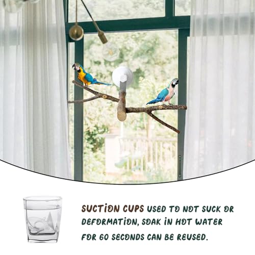 Image of 6 Pack Suction Cup Set for Bird Perches, Suitable for Parrot, Silver, White, ABS Plastic, Metal