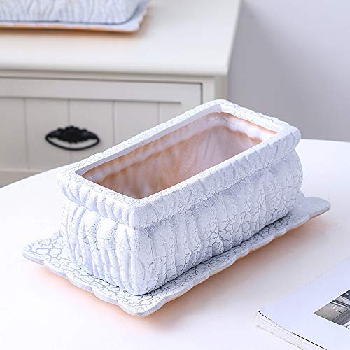 Pots de cactus durables en céramique pour stopper l'excès d'eau - 3