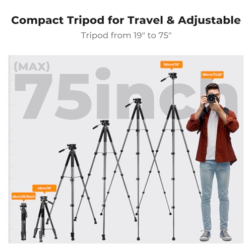 Image of K&F CONCEPT 75 inch Aluminum Camera Tripod, Lightweight and Compact for Travel | Compatible with Canon Nikon DSLR Camera, Cellphone Clip and Remote Control for Shooting and Video Recording S255A3+BV01