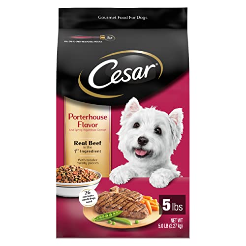 Best Dog Food For 1 Year Old Pitbull Gegu Pet Best Dog Food For 1 Year Old Pitbull Gegu Pet